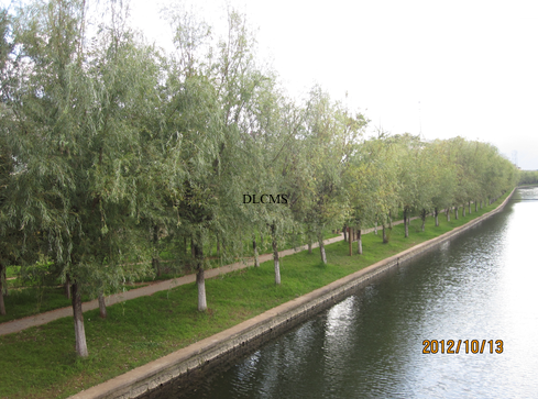 船房河景观施工实景-景观施工