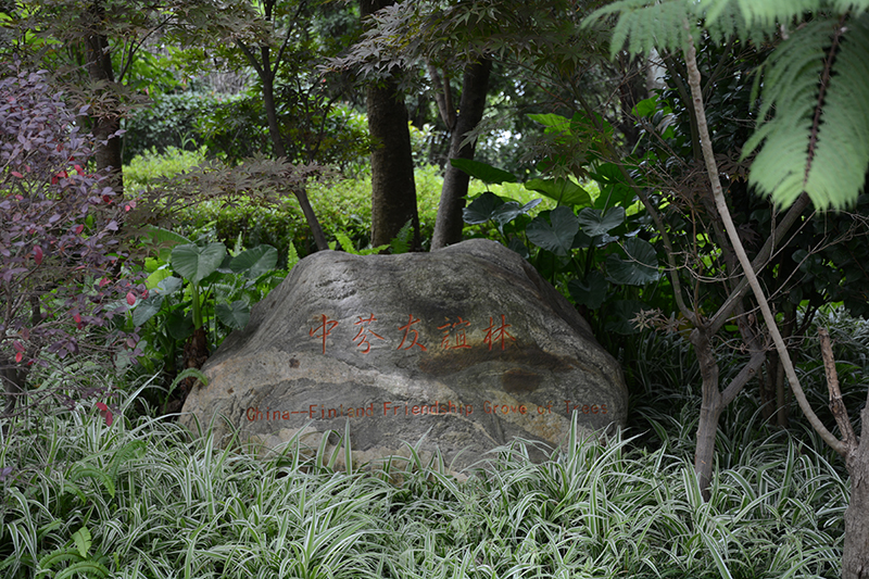 污泥厂-景观施工
