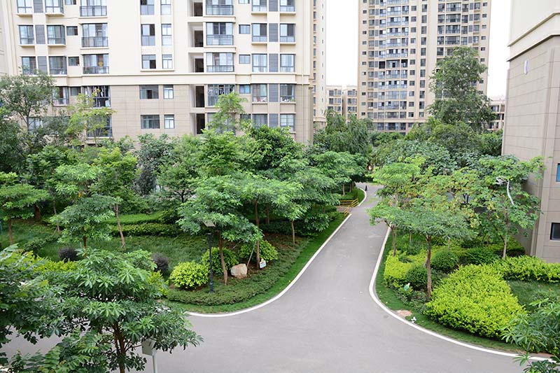 宾川金城印象-市政施工